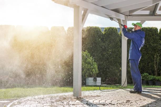 Best Sidewalk and Walkway Cleaning  in Moore Haven, FL