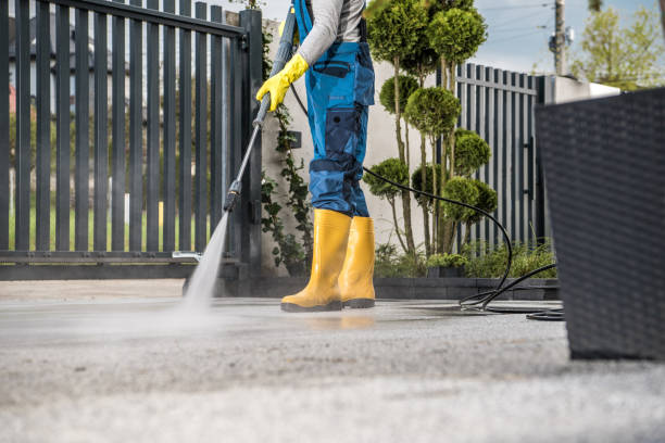 Best Pool Deck Cleaning  in Moore Haven, FL